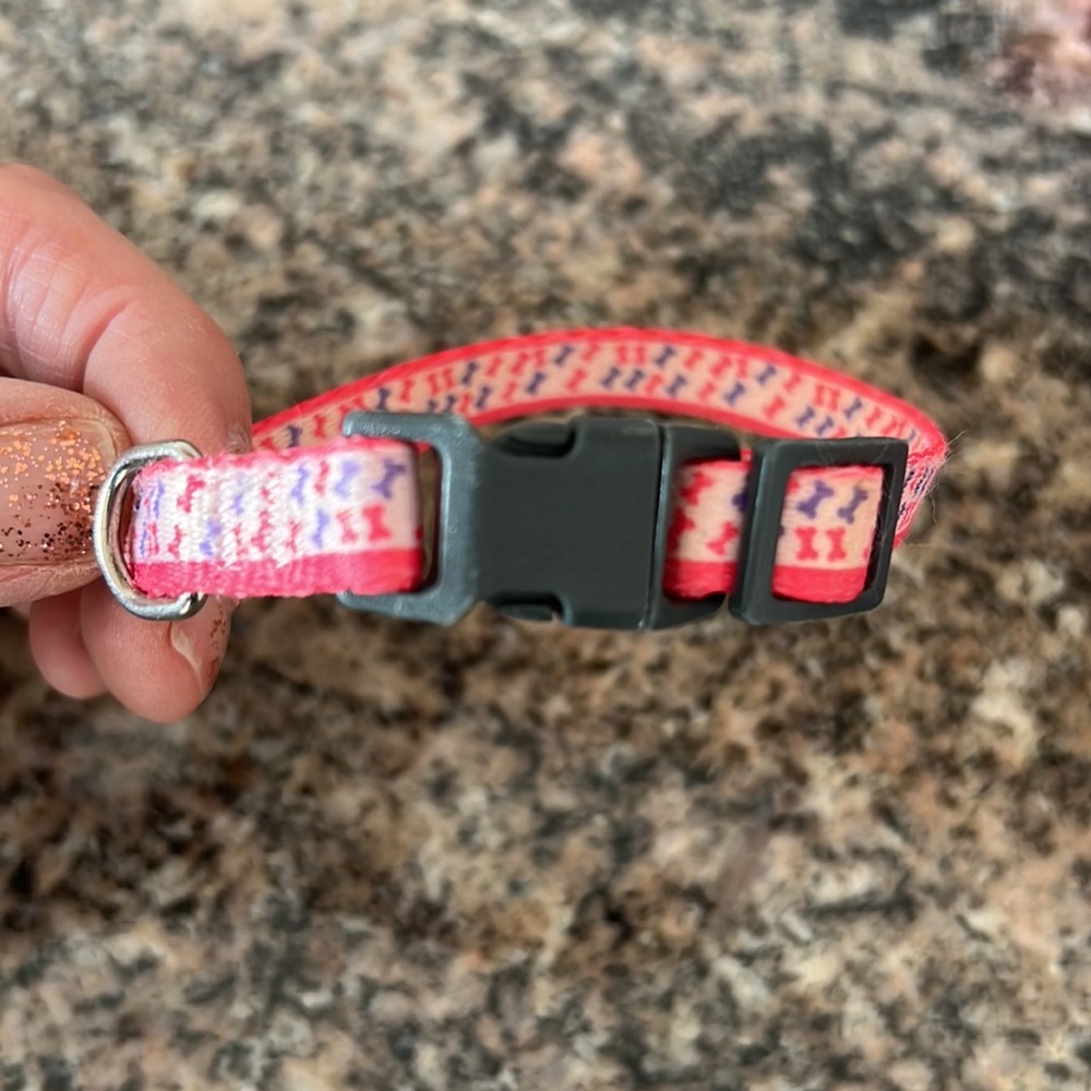 Boots and Barkley Harness - Picture 5 of 5